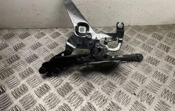 BMW X5 F15 Engine bonnet/hood hinges 7294530