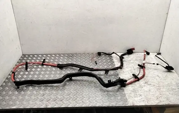 BMW X6 E71 Positive cable (battery) 9218612