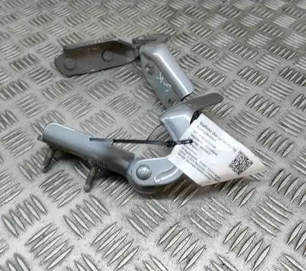 Ford Kuga III Tailgate/trunk/boot hinge LJ6BS42901AB