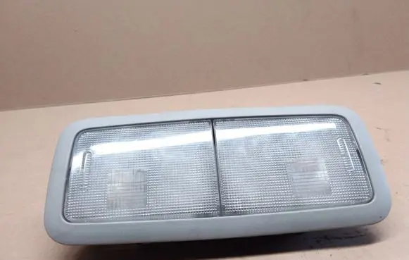 Rear seat light
