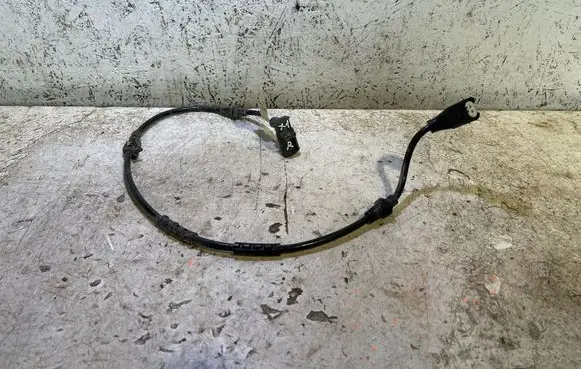 BMW X1 U11 Other wiring loom 99091710
