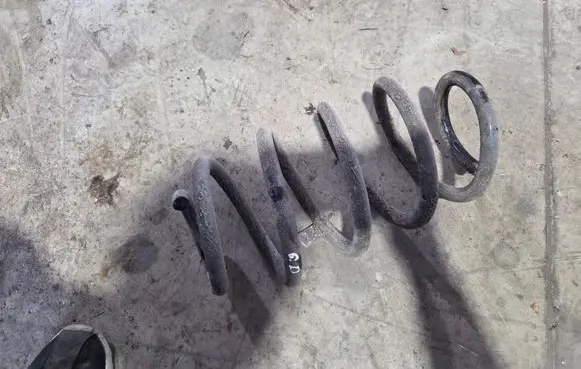 Rear coil spring