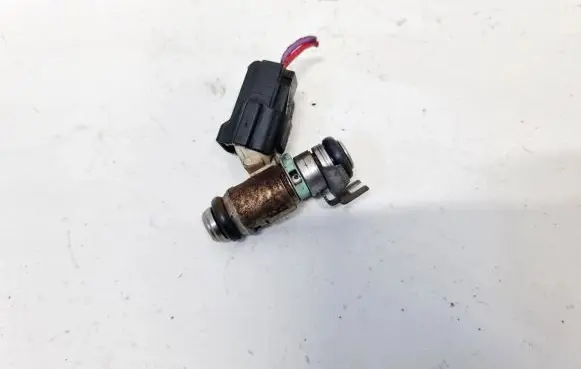 Volkswagen Golf V Fuel injector 036031AC