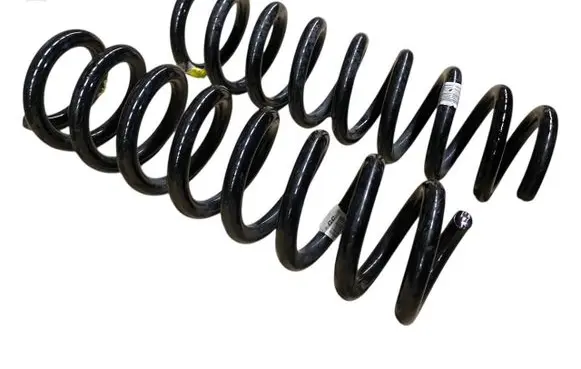 Rear coil spring