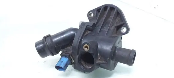 Thermostat/thermostat housing
