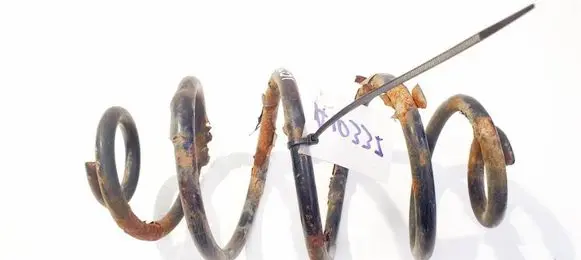 Rear coil spring