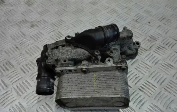 Renault Koleos I Oil filter mounting bracket