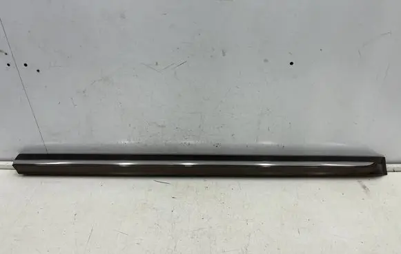 Volkswagen Beetle A5 Front door trim (molding) 