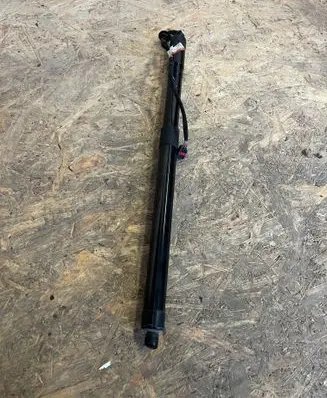 Tailgate strut
