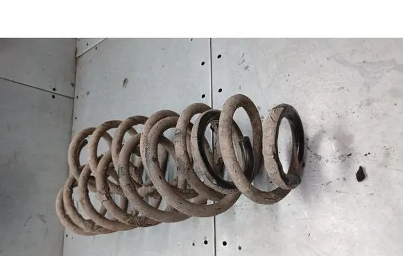 Rear coil spring