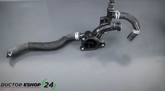 Thermostat/thermostat housing