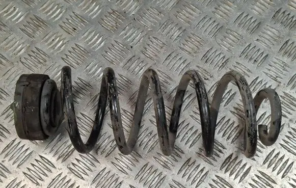 Rear coil spring