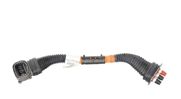 Other wiring loom