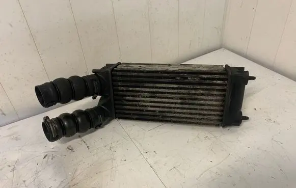 Citroen Berlingo Intercooler air channel guide 