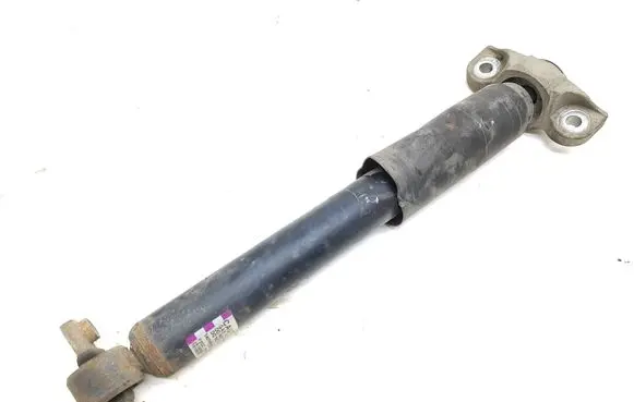 Ford Edge II Rear shock absorber/damper 12GC18W002 161004B