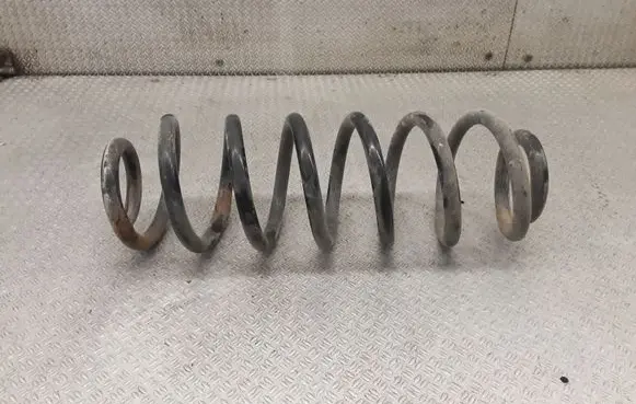 Rear coil spring