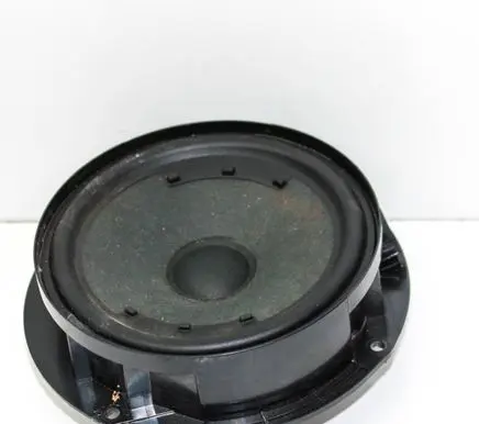 Rear door speaker