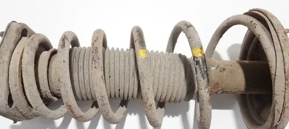 Hyundai Elantra Rear coil spring