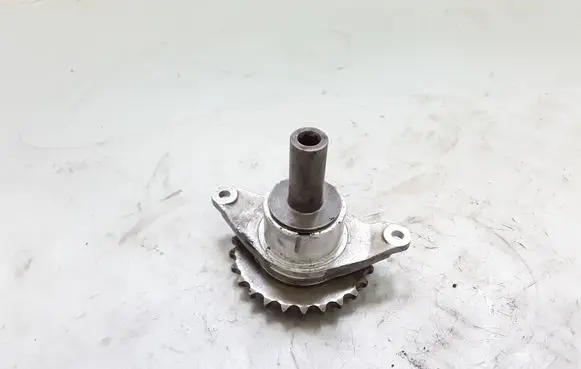 Audi A6 S6 C6 4F Timing chain sprocket 079109570AP