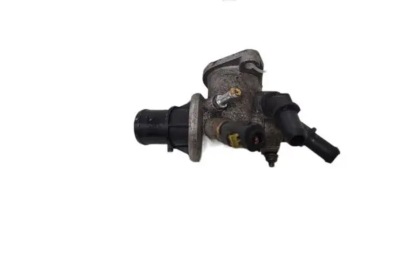 Thermostat/thermostat housing