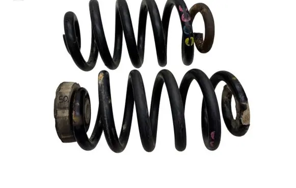 Rear coil spring