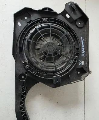 Opel Grandland X Front door high frequency speaker 9813826980