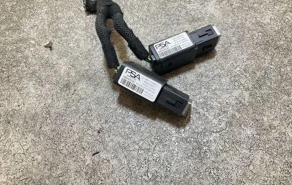 Citroen C4 III e-C4 USB socket connector 9831377180 PLP0300494