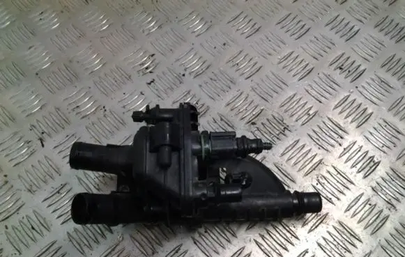 Thermostat/thermostat housing
