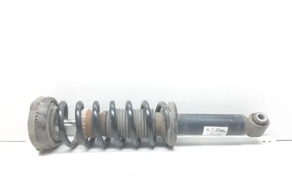 BMW X3 F25 Rear shock absorber with coil spring 6796317 33526796317