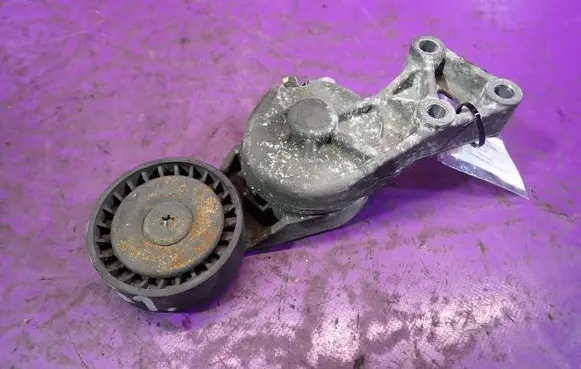 Volkswagen Sharan Timing belt/chain tensioner 