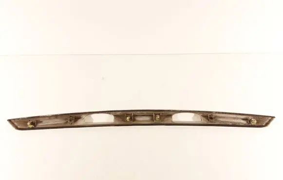 Trunk door license plate light bar