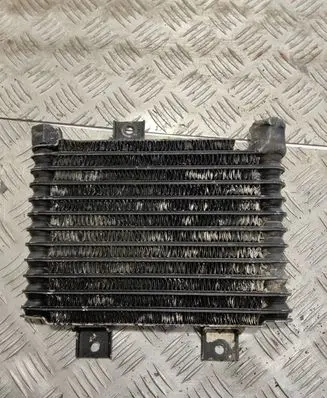 Mitsubishi Pajero Sport I Power steering radiator 