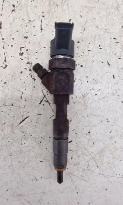 Renault Trafic II (X83) Fuel injector 8200238528