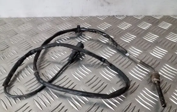 Opel Mokka Exhaust gas temperature sensor 55580026