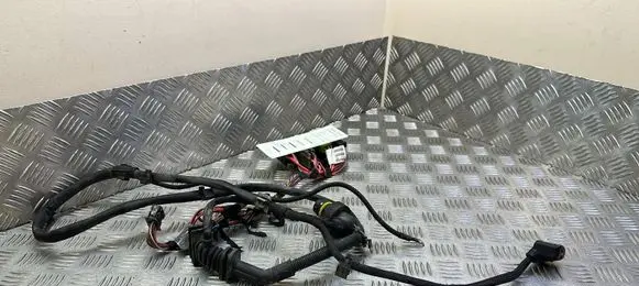 BMW X5 E70 Gearbox/transmission wiring loom 8513667 851366702 738051008B