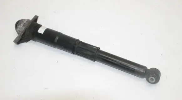 Volkswagen ID.3 Rear shock absorber/damper 1EA512011AD