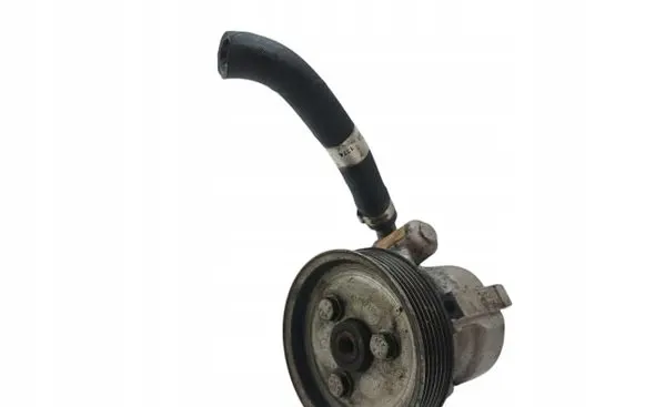 Fiat Doblo Power steering pump
