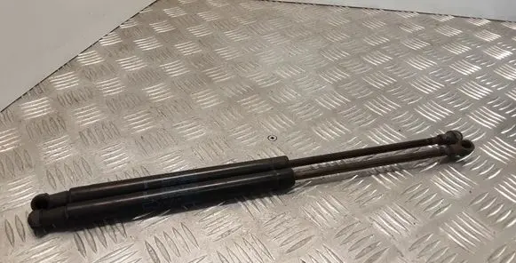 Land Rover Range Rover Sport L320 Front bonnet/hood damper/strut 8H2216E610AA
