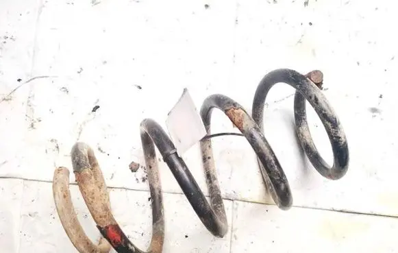 Opel Vivaro Front coil spring