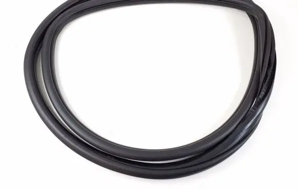 BMW 2 F45 Rear door rubber seal (on body) 7298894