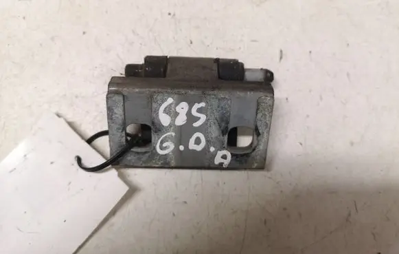 Volvo S60 Rear door lower hinge