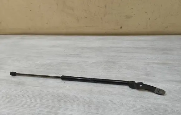 Tailgate/trunk strut/damper