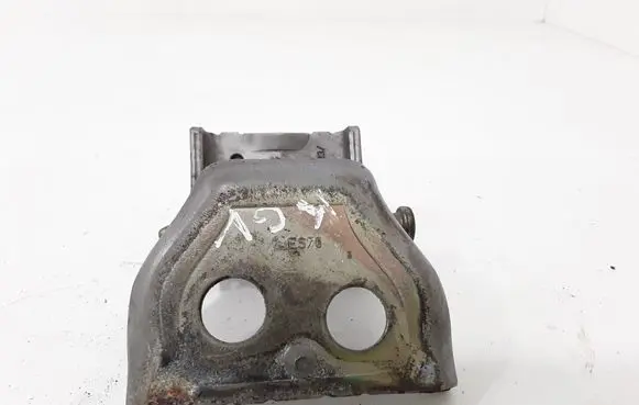 Peugeot 307 Rear door upper hinge