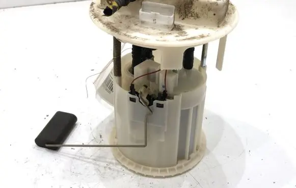 Citroen C3 In-tank fuel pump 0580314035
