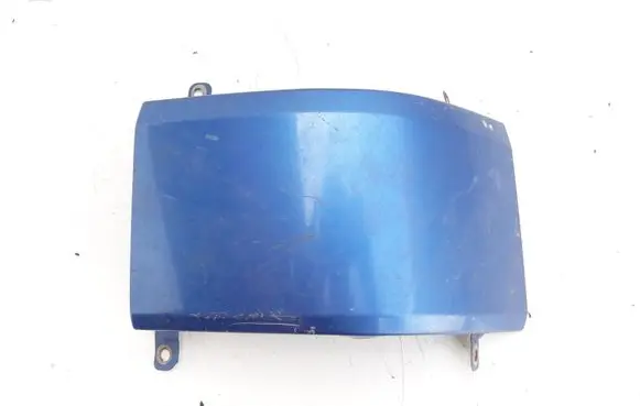 Rear/tail light trim molding