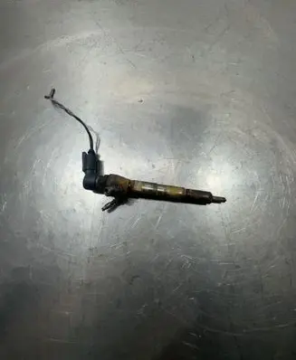 Renault Scenic III - Grand scenic III Fuel injector H8201100113 166006212R