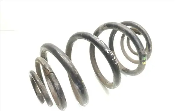Renault Trafic II (X83) Rear coil spring