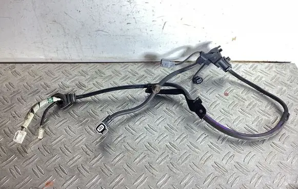 Lexus NX Rear ABS sensor wiring 890C078070