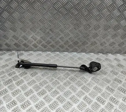 Tesla Model 3 Front bonnet/hood damper/strut 164598900A