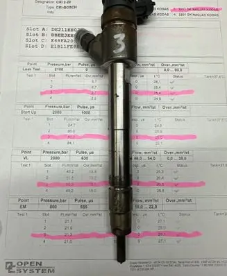 Citroen C3 Fuel injector 9828959880 0445110955